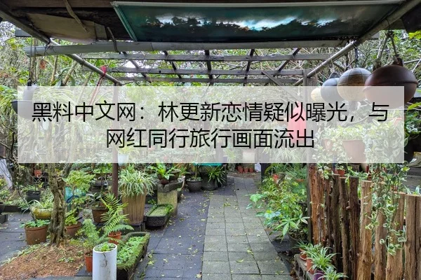 黑料中文网：林更新恋情疑似曝光，与网红同行旅行画面流出